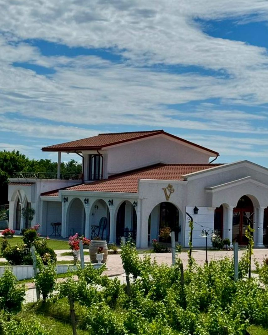 Domeniile Valens — cramă boutique cu piscină